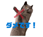 864725337