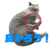 864725338