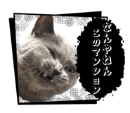 864725340