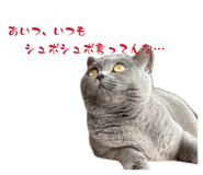 864725344