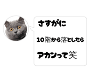 864725346