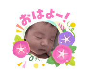 864725366