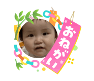 864725384