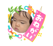 864725495