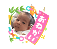 864725519