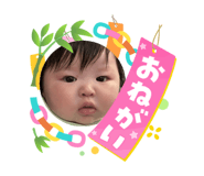 864725551
