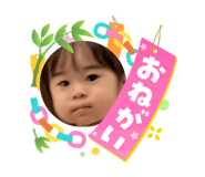 864725599