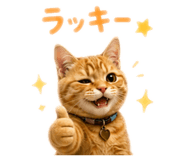 864726028