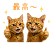 864726230