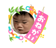 864726272
