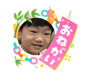 864727295