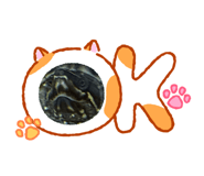 864727509