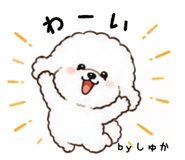 864727644