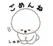 864727651
