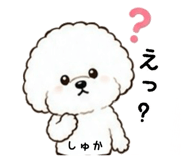 864727653