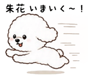 864727658