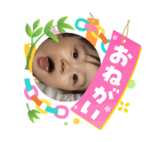 864727847