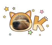 864727938