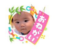864727981