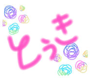 864728080