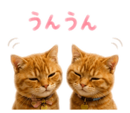 864728175