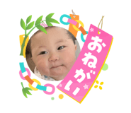 864728807