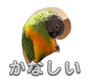 864728939