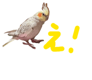864728940