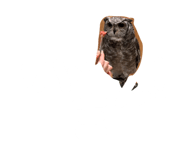 864728942