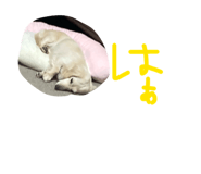864728949