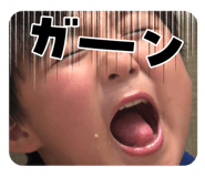 864729008