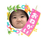 864729024