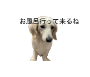 864729061