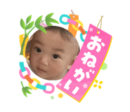 864729446