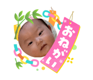 864729504
