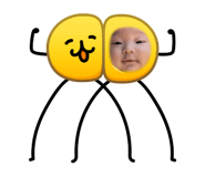 864729559