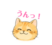 864729793
