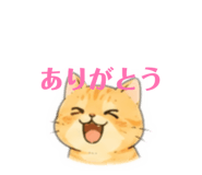 864729797