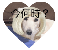 864729880
