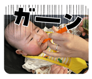 864730156