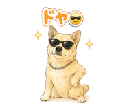 864779239