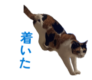 864779996