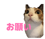 864779998