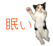 864779999