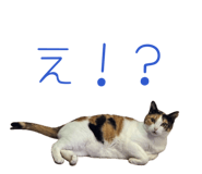 864780005