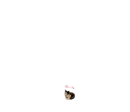 864780007