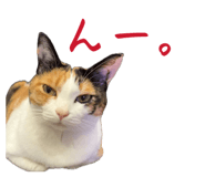 864780008