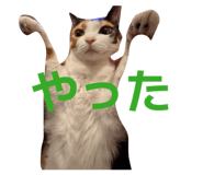 864780011