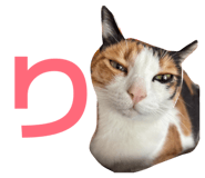 864780015