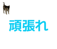864780016